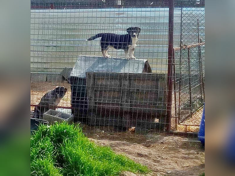 Agador, lieb und freundlich