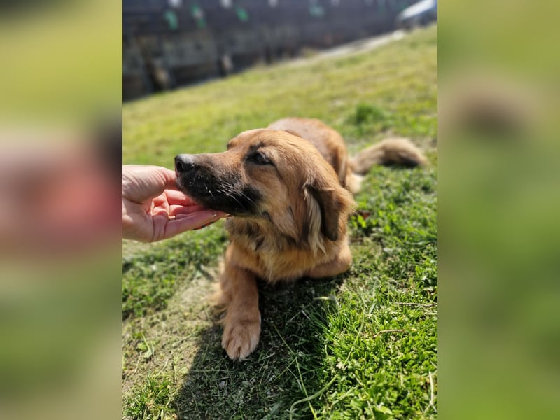 Luana, sehr lieb und freundlich