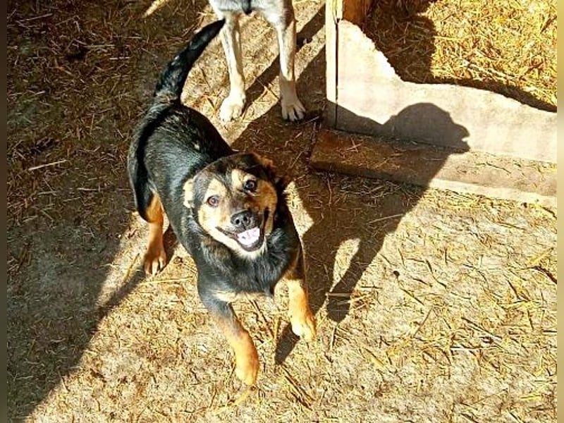 Maja, verspielt und etwas schüchtern