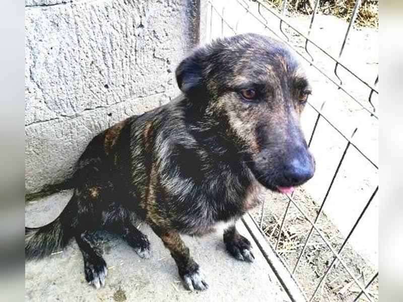 Minnie, sehr freundlich und lieb