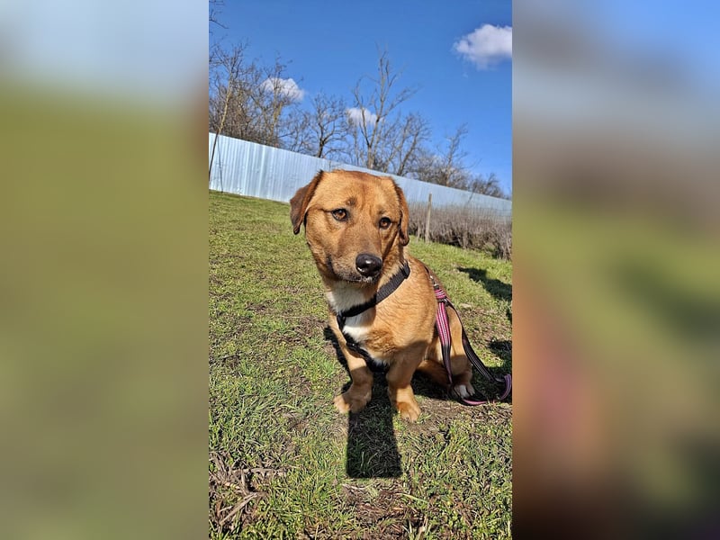 Carlos, freundlich und lieb