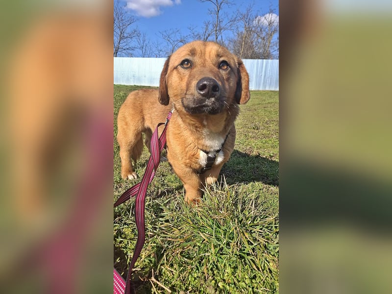 Carlos, freundlich und lieb