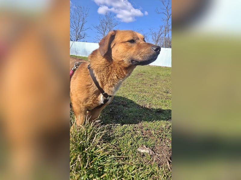 Carlos, freundlich und lieb