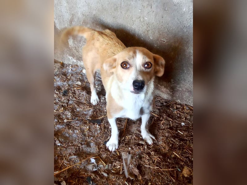 Nelly2, träumt von einer eigenen Familie
