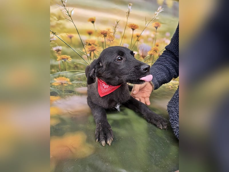 Leyla, etwas schüchtern