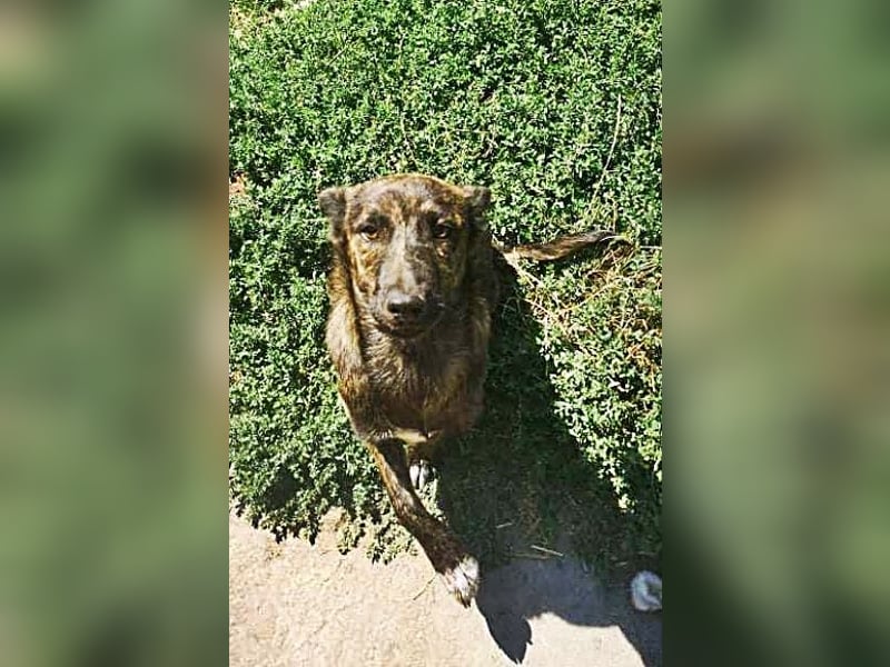 Minnie, sehr freundlich und lieb