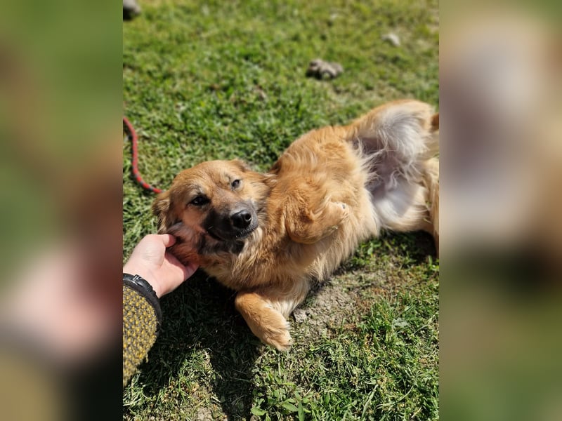 Luana, sehr lieb und freundlich