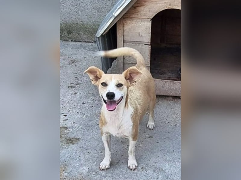 Nelly2, träumt von einer eigenen Familie