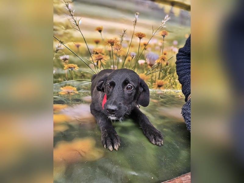 Leyla, etwas schüchtern