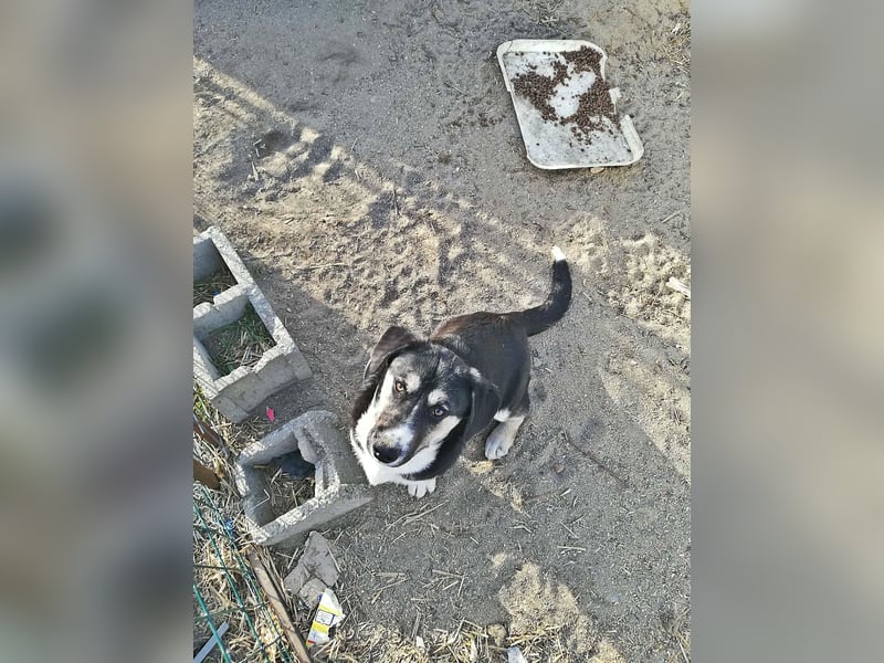 Agador, lieb und freundlich