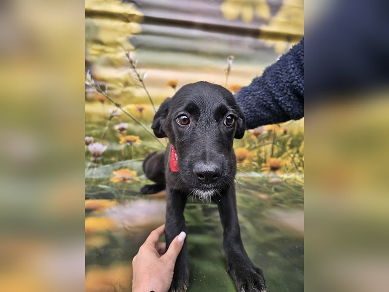 Leyla, etwas schüchtern