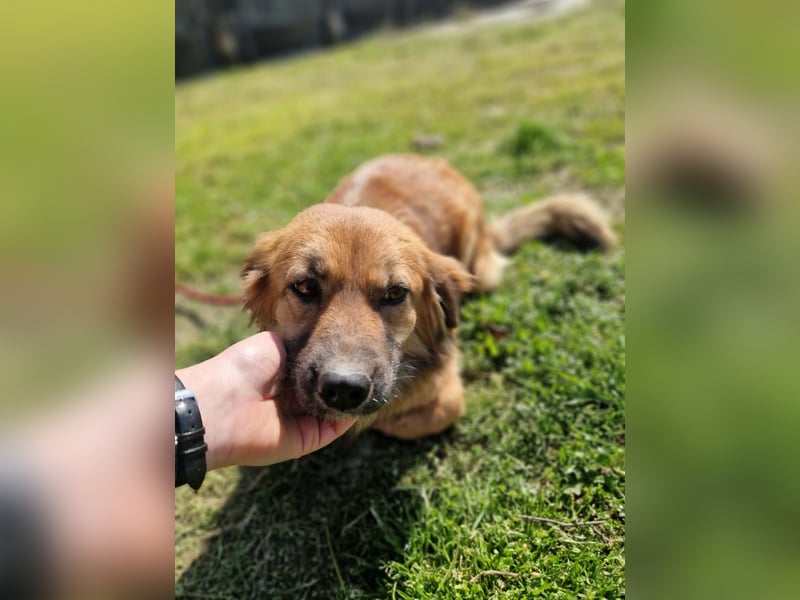 Luana, sehr lieb und freundlich