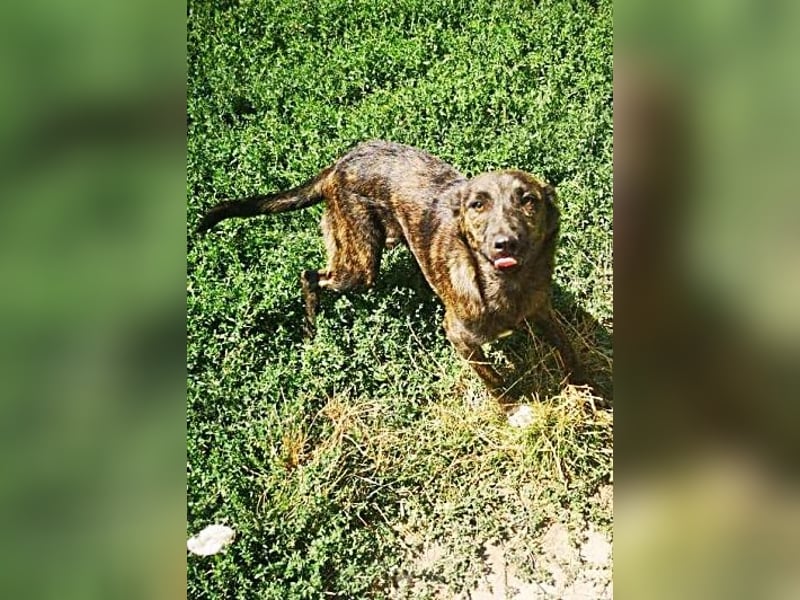 Minnie, sehr freundlich und lieb