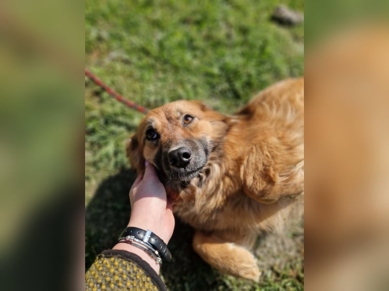 Luana, sehr lieb und freundlich