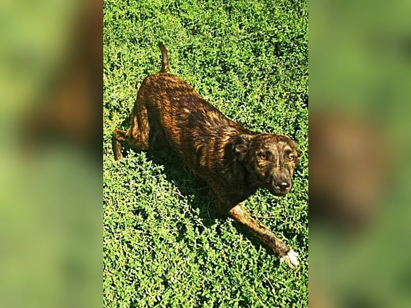 Minnie, sehr freundlich und lieb