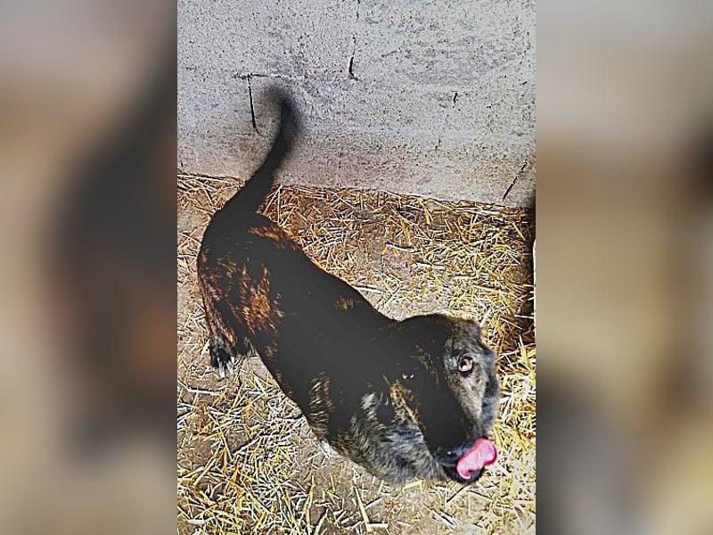 Minnie, sehr freundlich und lieb