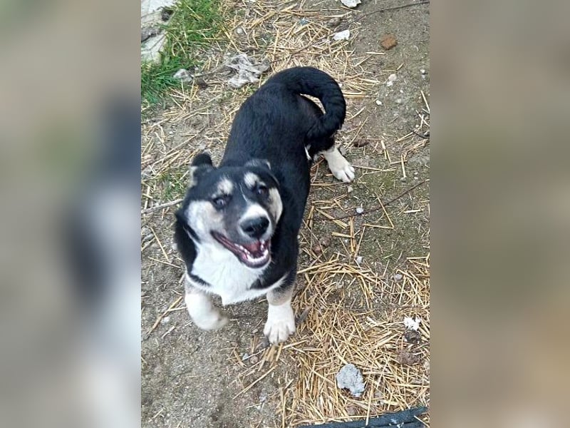 Agador, lieb und freundlich