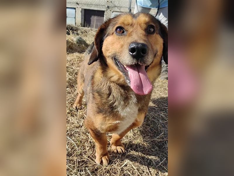 Kleiner Fredis will großes Herz verschenken