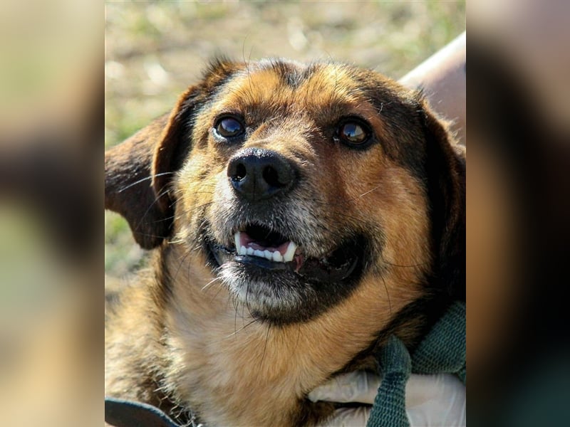 Kleiner Fredis will großes Herz verschenken