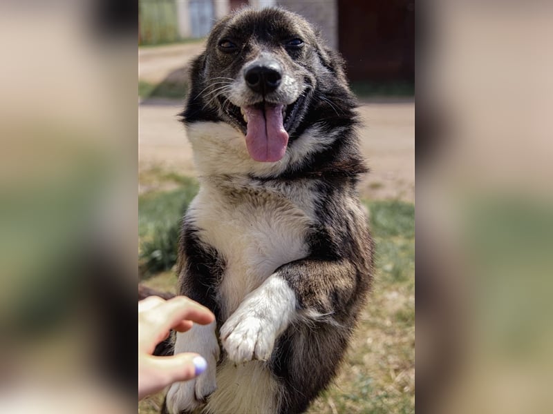 Kleiner Kiwis möchte mit seinen Menschen die Welt erkunden