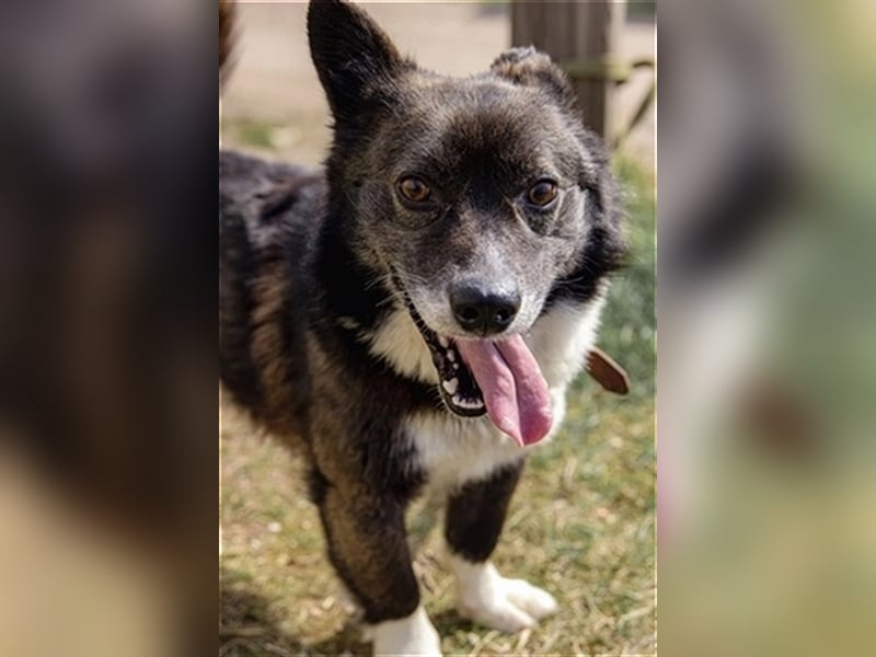 Kleiner Kiwis möchte mit seinen Menschen die Welt erkunden