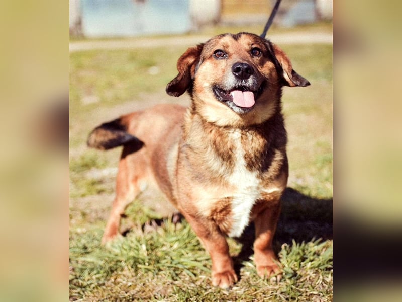 Kleiner Fredis will großes Herz verschenken