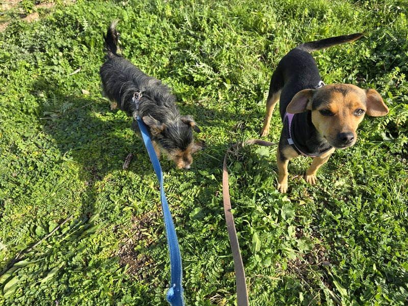 Charlotte: klein, aber oho!