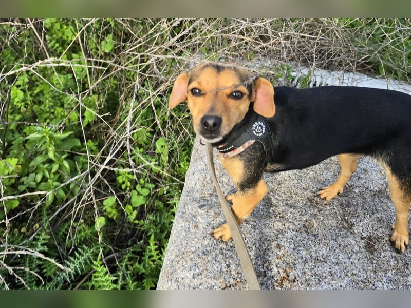 Charlotte: klein, aber oho!