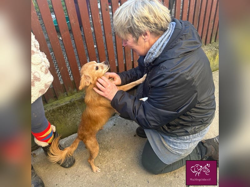 Bele❣️– Armer Schatz hat sein Zuhause verloren.