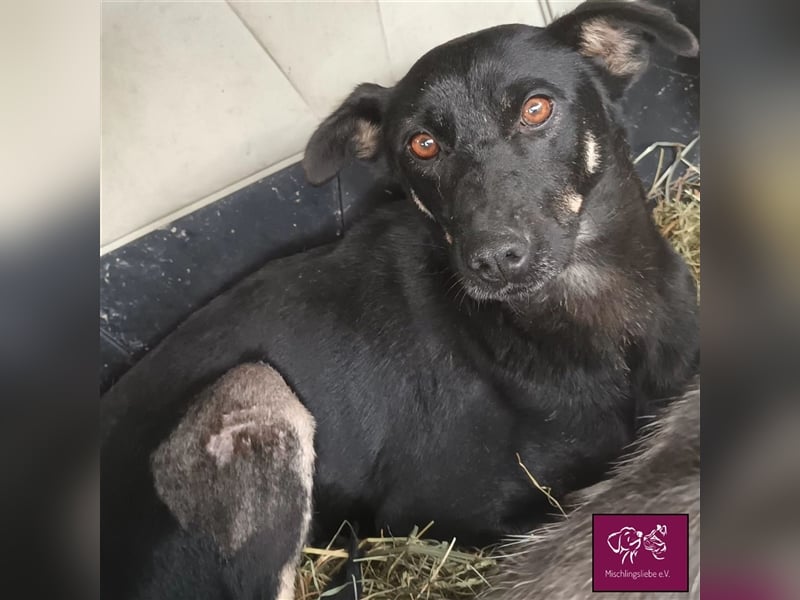 Schüchterne Lolita sucht Menschen mit ganz viel Herz und Emphathie ♥️