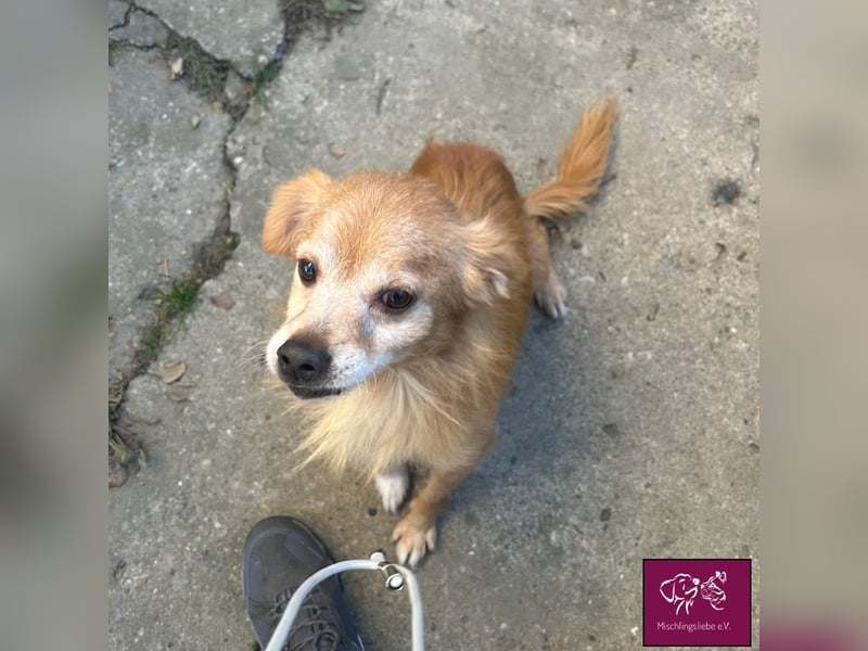 Bele❣️– Armer Schatz hat sein Zuhause verloren.