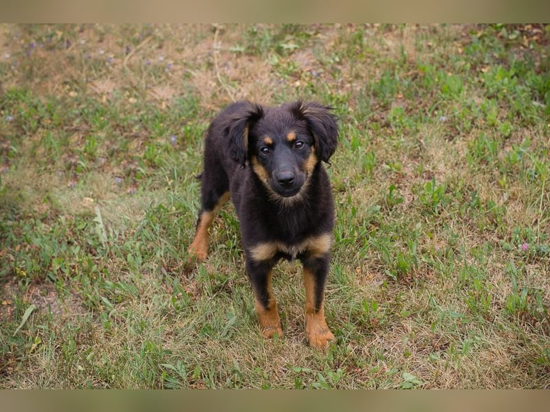 RONJA – Kleine Abenteurerin sucht ihre Herzensmenschen