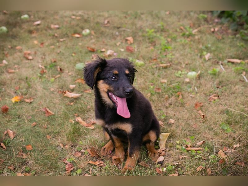 RONJA – Kleine Abenteurerin sucht ihre Herzensmenschen