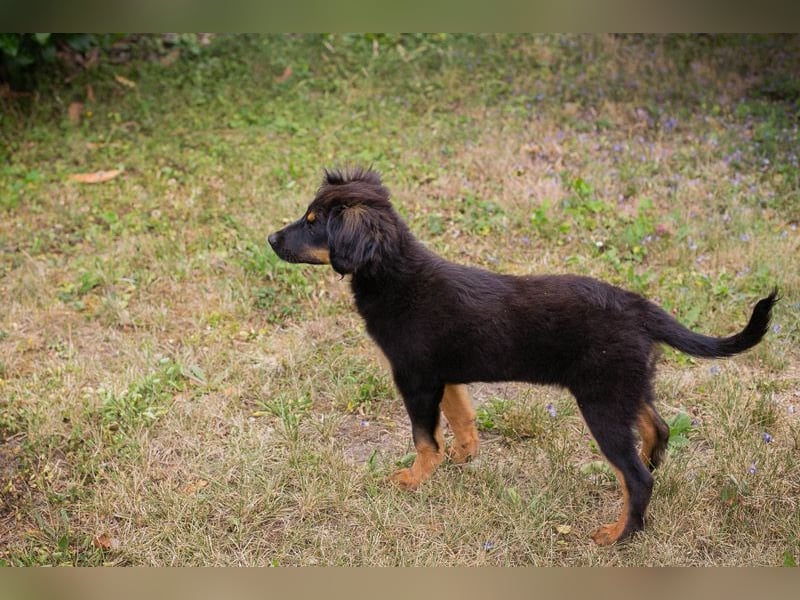 RONJA – Kleine Abenteurerin sucht ihre Herzensmenschen