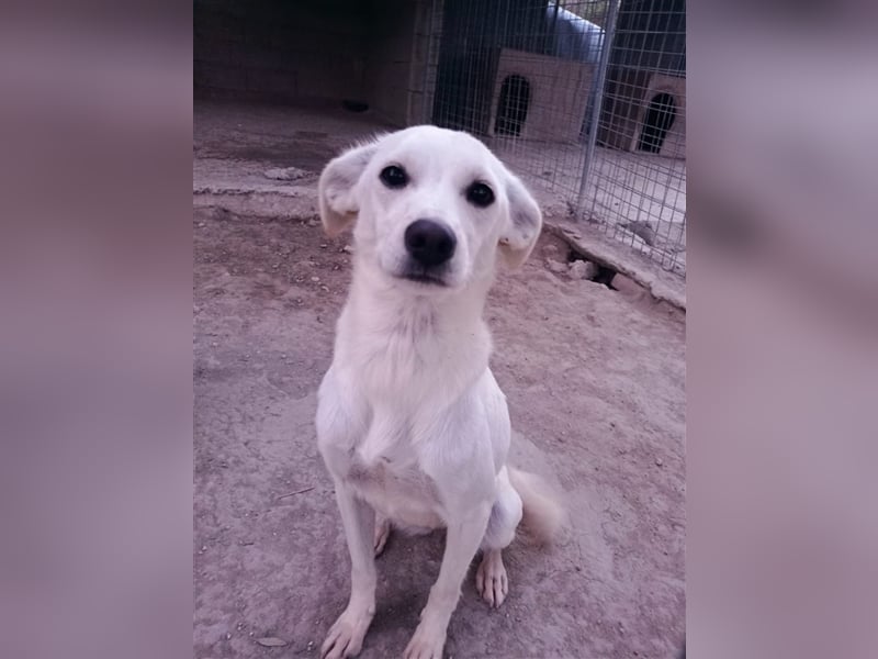 Corey sucht ihr zu Hause! ❤️