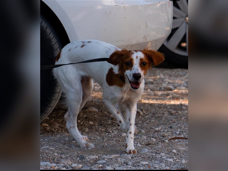 Nana sucht ihr zu Hause! ❤️