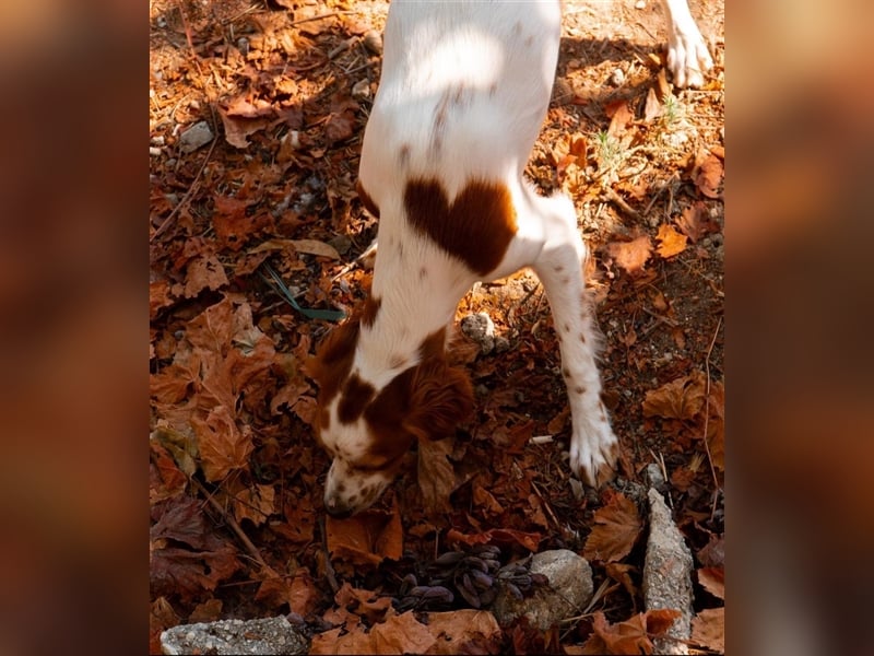 Nana sucht ihr zu Hause! ❤️