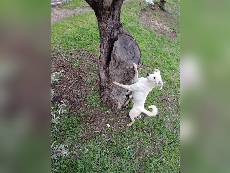 Corey sucht ihr zu Hause! ❤️