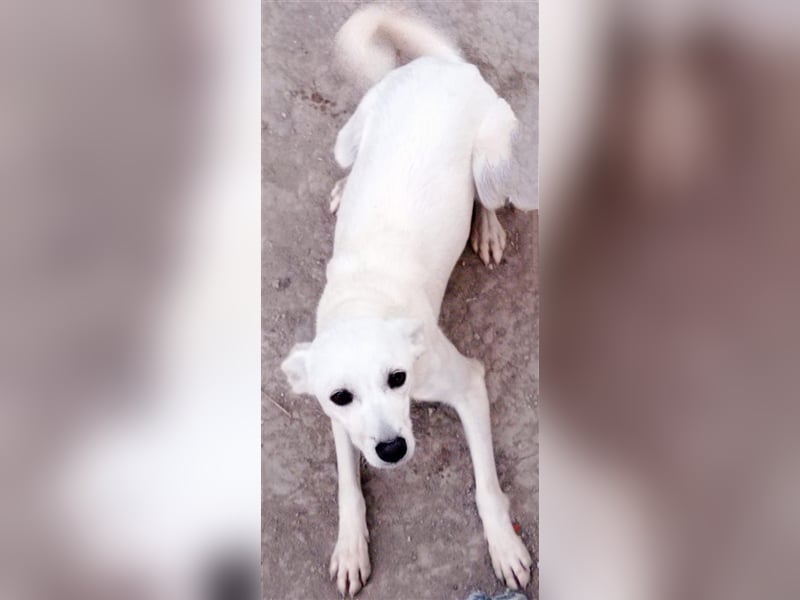 Corey sucht ihr zu Hause! ❤️