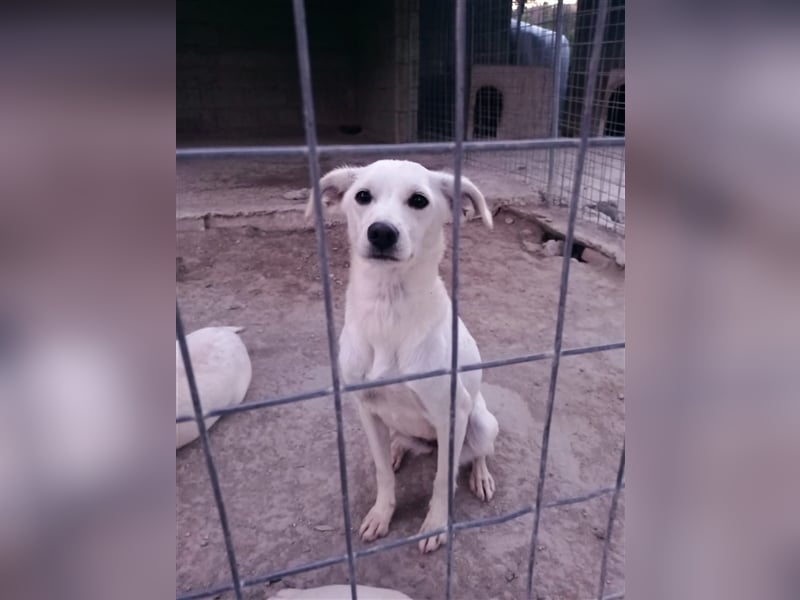 Corey sucht ihr zu Hause! ❤️