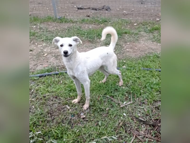 Corey sucht ihr zu Hause! ❤️