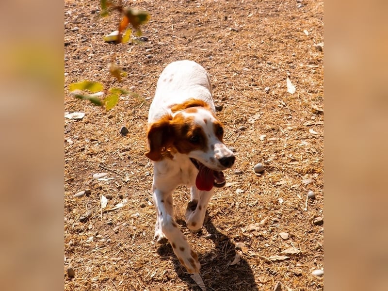 Nana sucht ihr zu Hause! ❤️