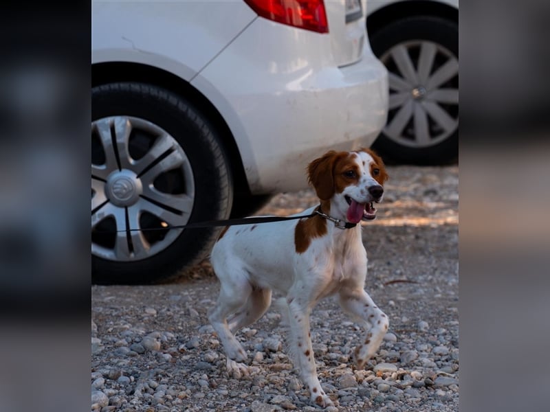 Nana sucht ihr zu Hause! ❤️