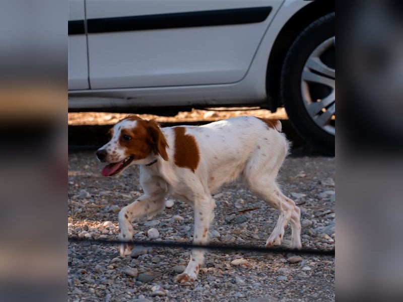 Nana sucht ihr zu Hause! ❤️