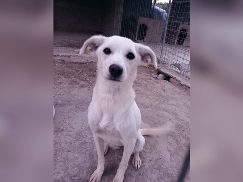 Corey sucht ihr zu Hause! ❤️