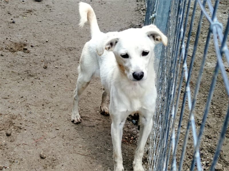 Corey sucht ihr zu Hause! ❤️