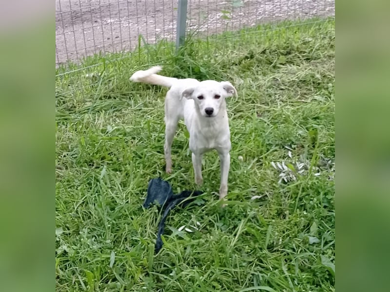 Corey sucht ihr zu Hause! ❤️