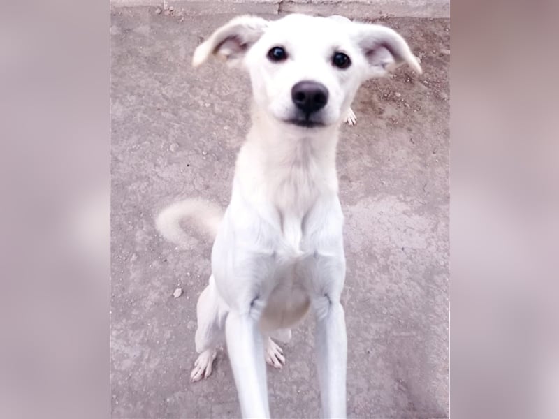 Corey sucht ihr zu Hause! ❤️