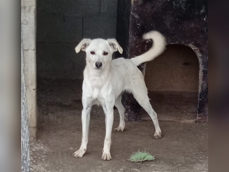 Corey sucht ihr zu Hause! ❤️