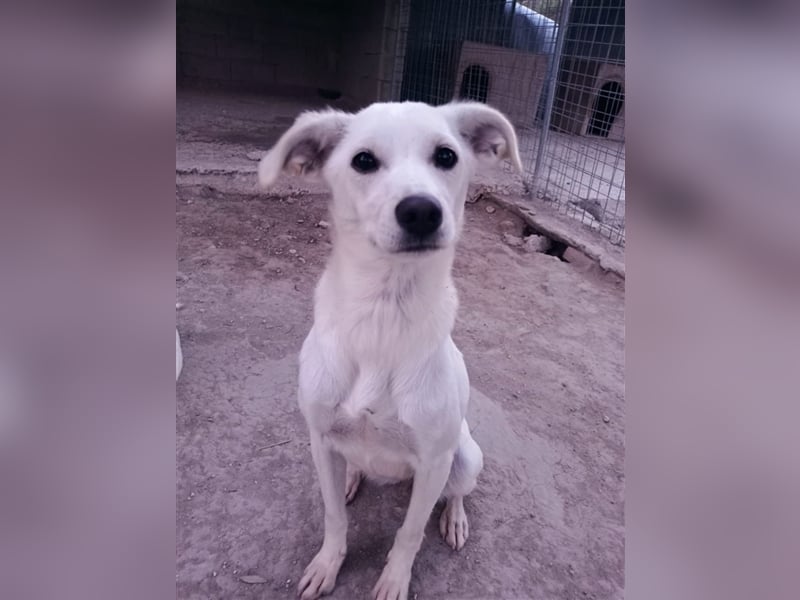 Corey sucht ihr zu Hause! ❤️